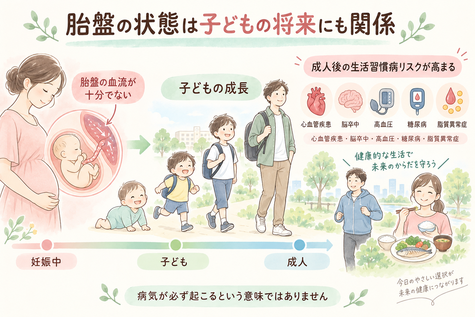 胎盤の状態が子どもの将来の健康にも関係することを示す図