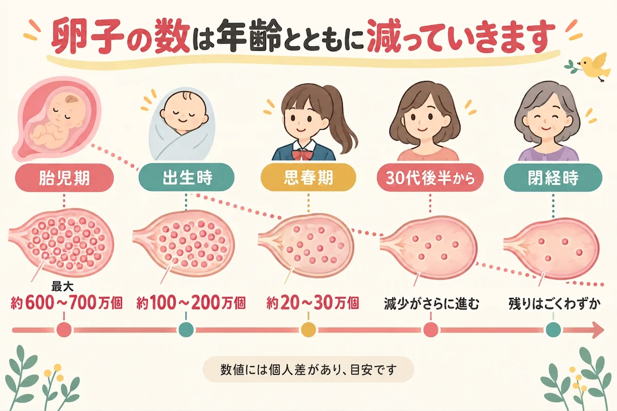 egg-count-by-age