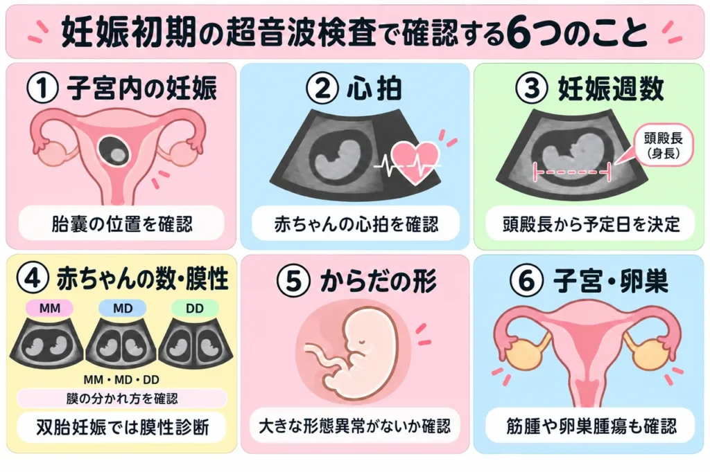 妊娠初期の超音波検査で確認する6つのこと