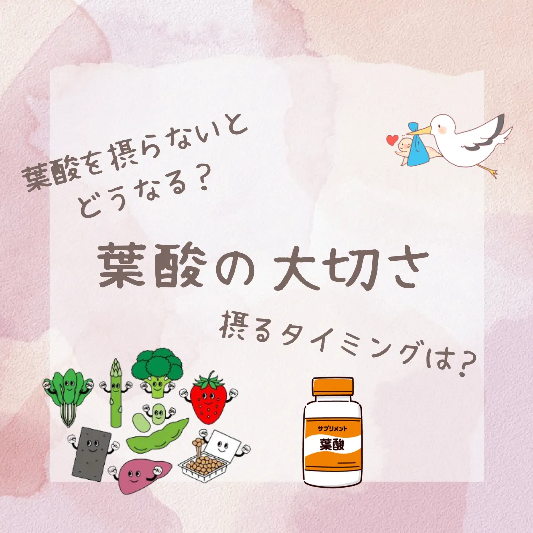 葉酸はいつから・なぜ必要？