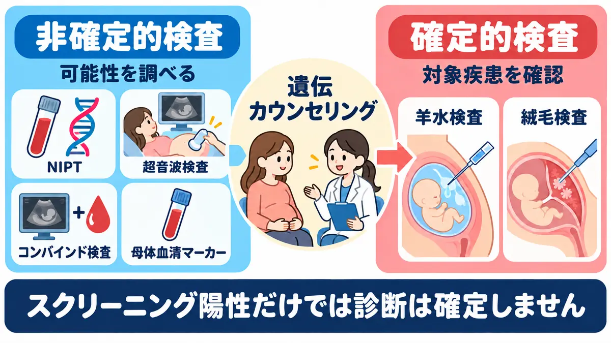 スクリーニング検査から遺伝カウンセリング、確定的検査までの流れ
