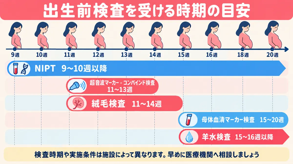 出生前検査を受ける時期の目安